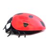Радиоуправляемый робот CS toys Божья коровка - 9922