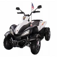 Электроквадроцикл RiverToys P333PP