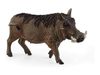 Фигурка Schleich Бородавочник - SLH14843