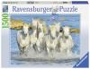 Пазл Ravensburger *Рысью в прибое* 1500 элементов - 16285