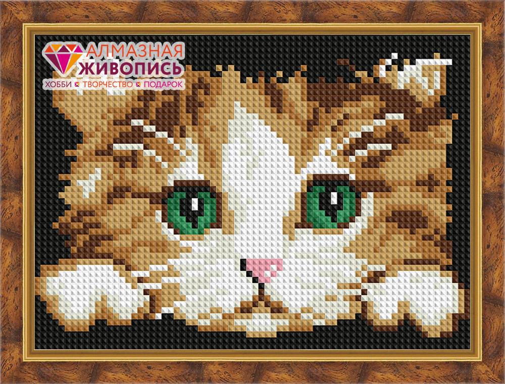 Алмазная мозаика *Котенок* - АЖ-319