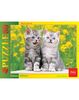 Пазл Hatber *Котята*, 80 элементов - 80ПЗ5-01235