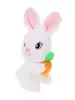 Мягкая игрушка Fluffy Family Зайка с морковкой 18 см - 682116