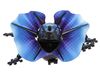 Робот Ящерица Best Fun Toys Lizardbot, свет - 9918