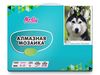 Алмазная мозаика Molly Хаски 15х20 (14 цветов) - KM0729