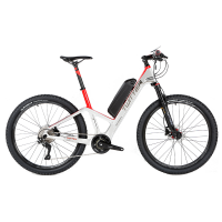 Электровелосипед Twitter TW-E9W