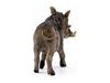 Фигурка Schleich Бородавочник - SLH14843