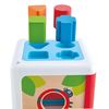 Сортер Hape Цвета и Формы - E0507_HP