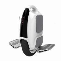 Моноколесо GotWay Luffy 10 170WH