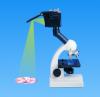 Набор Edu-Toys Микроскоп 100*900 - MS901