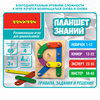 Настольная развивающая игра из дерева «ПЛАНШЕТ ЗНАНИЙ» 65 заданий Bondibon - ВВ4867