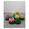 Конструктор RToy 3D из миниблоков Цветы Суккуленты 1шт, 142 элементов - WL2110