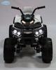 Электроквадроцикл Barty Grizzly Т001МР_new