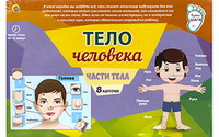 Обучающий набор ПЕРВЫЕ ШАГИ.ТЕЛО ЧЕЛОВЕКА - ПД-6440