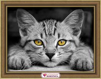 Алмазная мозаика *Желтоглазый котёнок*, 40*30 см - АЖ-1807
