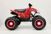 Электроквадроцикл RiverToys T777TT