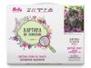 Картина по номерам с цветной схемой на холсте Molly Серый котенок 30х40 (18 цветов) - KK0605