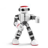 Робот интеллектуальный WL Tech Dobi - WLT-F8