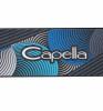 Самокат Capella S-201 - GL000373856