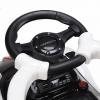 Каталка RiverToys Pagani A002AA-H