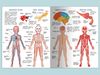 Книга Омега Иллюстрированная энциклопедия для детей - 03800-3