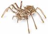 3D пазл деревянный Ewa SPIDER (Паук) - ESr