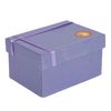 Шкатулка Neogift мышь с музыкальным инструментом - Е76998