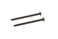 Шарнирный штифт HINGE PIN REAR OUTER (2pcs) - TD330105