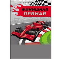 Настольная игра Рыжий кот *Финишная прямая* - ИН-6410