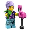 Конструктор LEGO Minifigures в непрозрачной упаковке (Сюрприз) Серия 19 - 71025