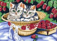 Картина по номерам *Котята в саду*, 30*40 см - 013-CE