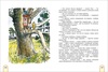 Книга Росмэн *Полезные книжки.Читаем на ночь. Стихи и сказки* - 34627