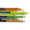 Двухсторонние карандаши Crayola 12 шт - 68-6100