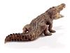 Фигурка Schleich Крокодил - SLH14736