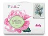 Картина по номерам Molly Незабудки с ромашками 15х20 (19 цветов) - KH1012