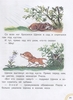 Книга Добрые Сказки Сутеев Сказочные истории в картинках - 7375-6