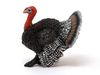 Фигурка Schleich Индюк - SLH13900
