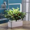 Компактный смарт-сад iGarden LED с подсветкой - GL2018