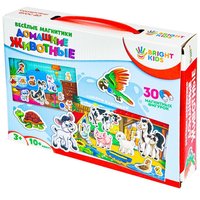 Настольная игра Bright Kids Весёлые магнитики Домашние животные - ИН-7612