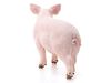 Фигурка Schleich Свинья - SLH13782