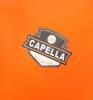 Велосипед трехколесный Capella S-511 - GL000546344