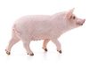 Фигурка Schleich Свинья - SLH13782