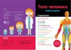 Книга Феникс Тело человека - УТ-00022235