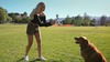 Стабилизатор DJI OM 4 SE - 6941565917683