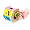Сортер Hape Встряхни и подбери по форме - E0407_HP