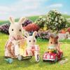 Игровой набор Epoch Sylvanian Families Детская прогулка - 3567|5040
