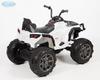 Электроквадроцикл Barty Grizzly Т001МР_new