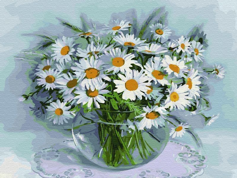 Картина по номерам Molly Бузин. Ромашки, 40х50 - KH0808