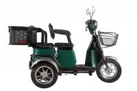 Электроскутер-трицикл RuTrike S2 L1 С АКБ - 019026_Зеленый