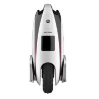 Моноколесо Fastwheel Eva Pro